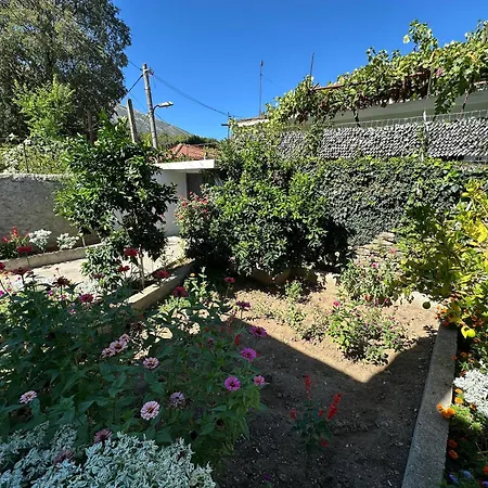 Canka Hébergement de vacances *